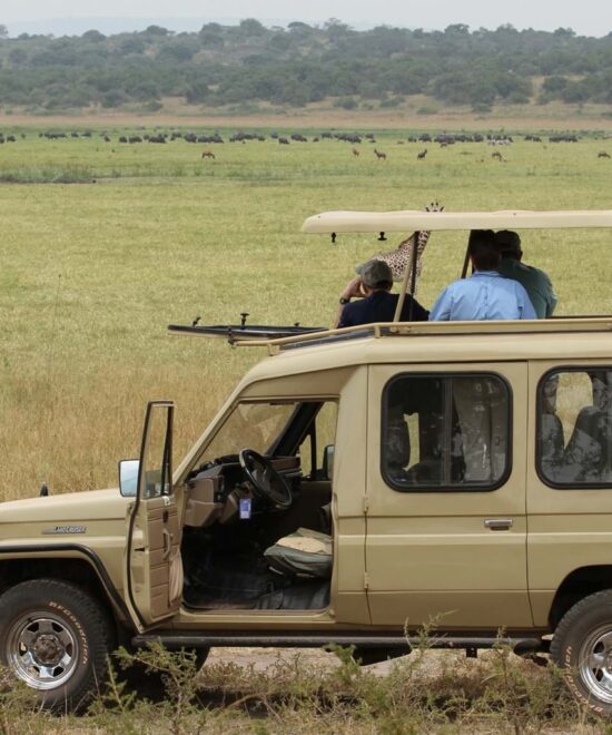 8 Days Kenya Safari – B