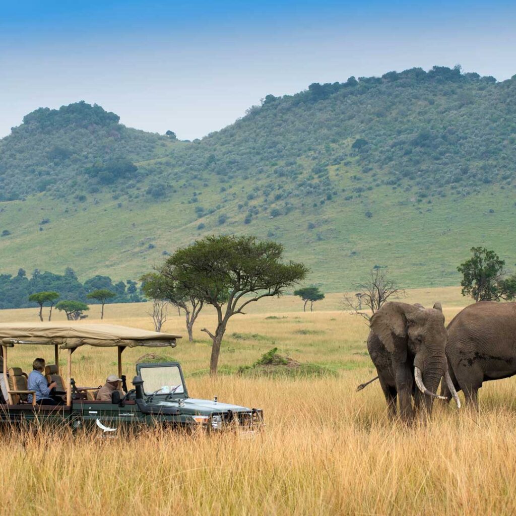 7 Days Kenya Safari – B