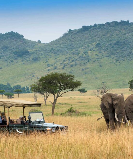 7 Days Kenya Safari – B